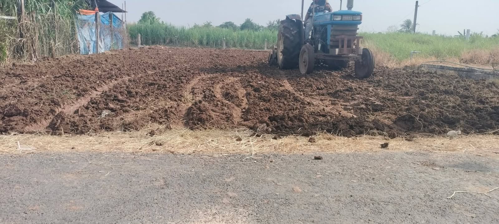 Đất thổ cư 200m² tại ấp Gò Lức, xã Tân Đông, giá 650 triệu - Pháp lý rõ ràng!