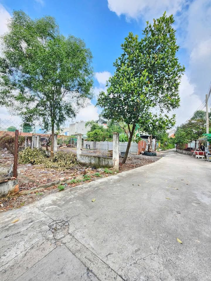 Đất thổ cư 136.7m² tại Tân Bình, Dĩ An - Giá 4.45 tỷ - Xây dựng tự do!