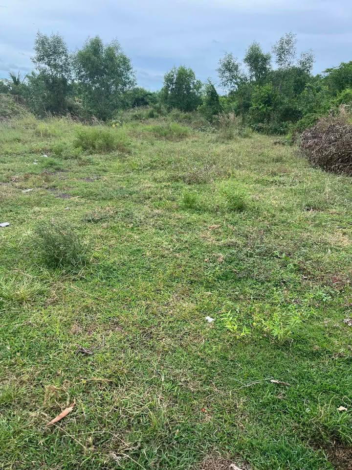 Đất nền 3000m² tại An Ngãi, Long Điền - Giá chỉ 6.75 tỷ, cơ hội đầu tư sinh lời!