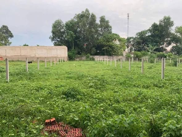 Đất nền Ấp 6, xã Tân Thạnh Đông, Củ Chi 365m² giá 3.8 tỷ - Đầu tư sinh lời cao!