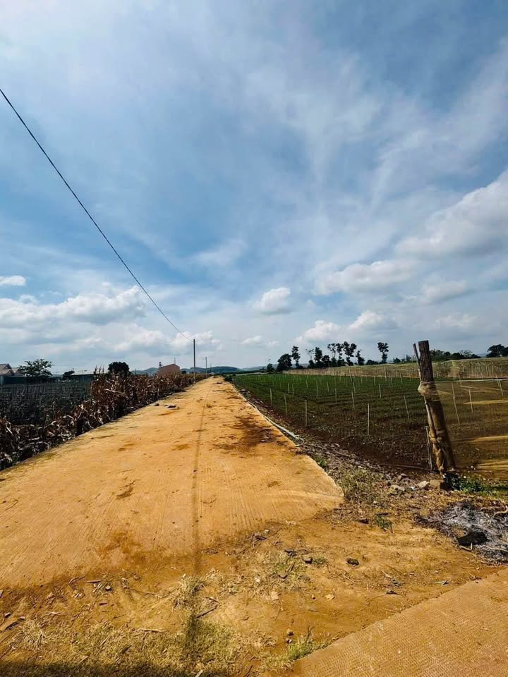 Đất nền khu Kỷ Sen, Phú Hội 145m² giá 699 triệu - Đầu tư sinh lời ngay!