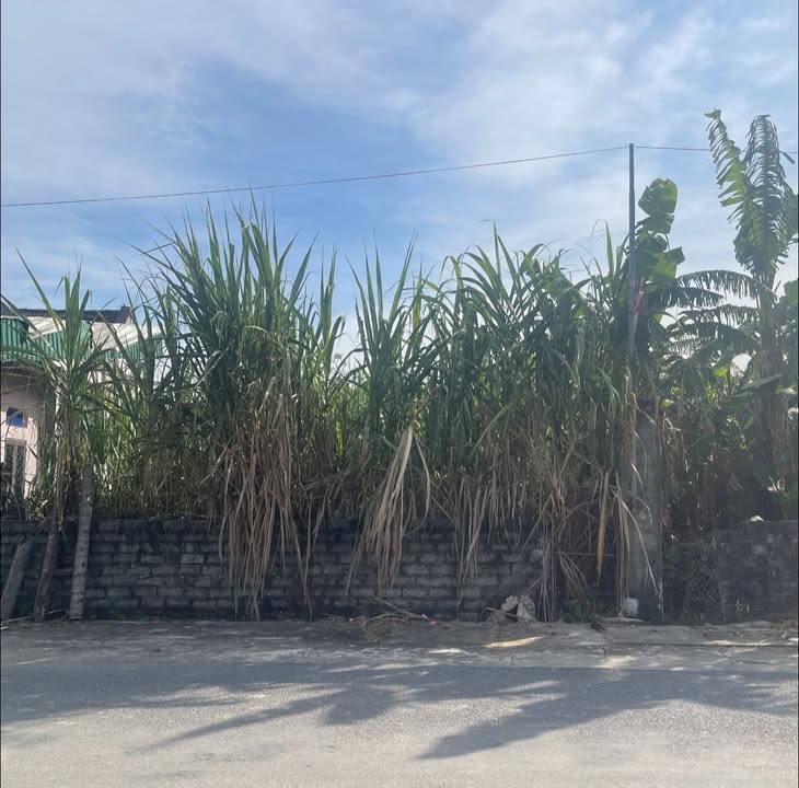 Đất nền Yên Thành 126m² giá 2 tỷ - Kinh doanh thuận lợi tại khu dân cư đông đúc!