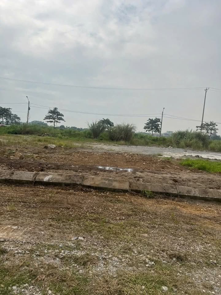 Đất đấu giá vườn thuốc Thanh Hà 100m² giá chỉ 100 triệu - Cơ hội không thể bỏ lỡ!