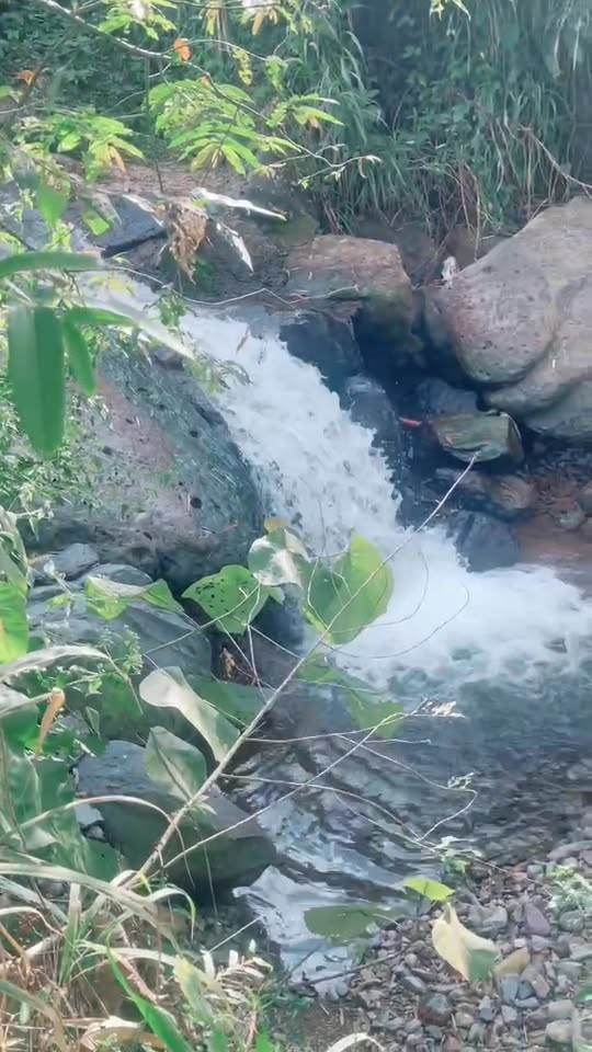 Đất nền 3 sào 6 Đường bê tông tại Xã Đại Lào, Bảo Lộc - Giá 1.5 tỷ, thương lượng nhẹ!