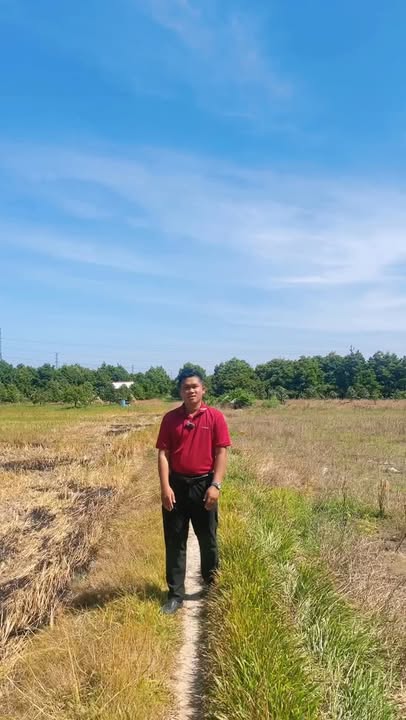 Đất vườn 1000m² tại Bàu Đồn, Gò Dầu - Giá bán thỏa thuận hấp dẫn!