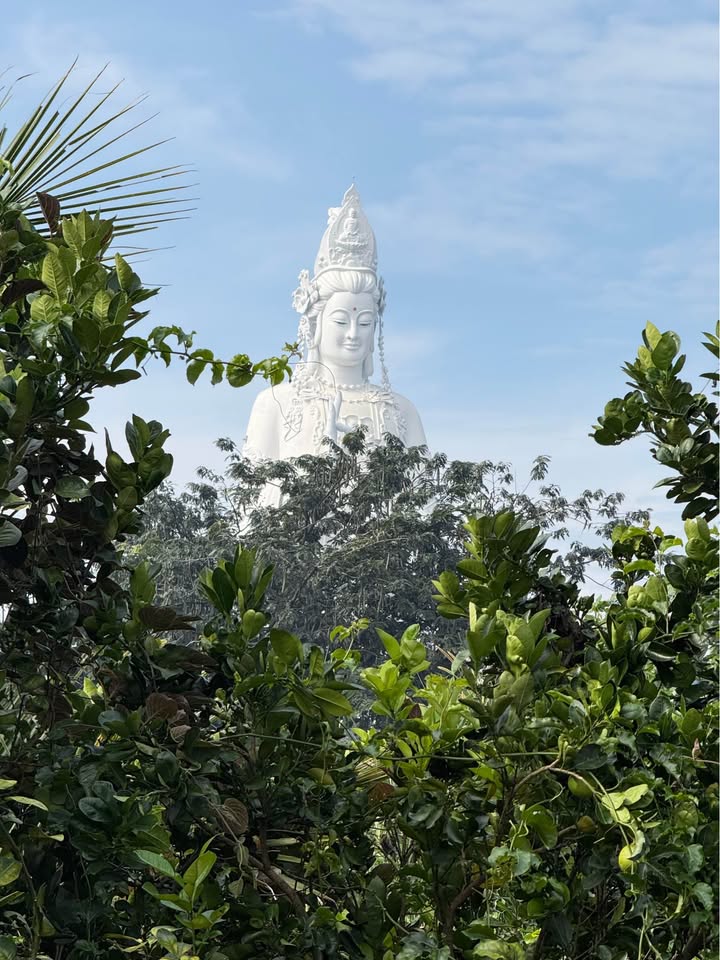 Đất nền Phú Hội, Đức Trọng 276m² giá 2 tỷ - Cơ hội đầu tư hấp dẫn!