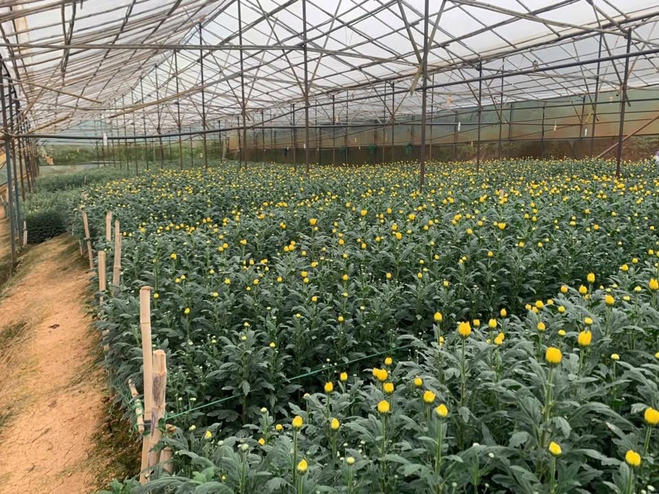 Đất nền 4 sào tại Hòn Bồ, Đà Lạt - Giá 10.5 tỷ - Sổ đỏ chính chủ!