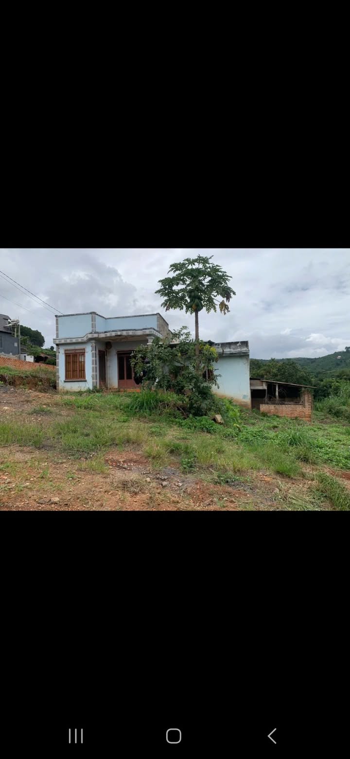 Đất nền thôn 1 Mê Linh 1050m² giá 2 tỷ - Sổ đỏ chính chủ, thương lượng