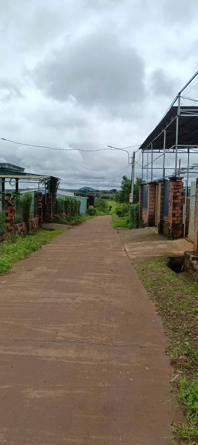 Đất nền liền kề đường Bùi Viện, An Phú, Pleiku - 130m² giá chỉ 400 triệu