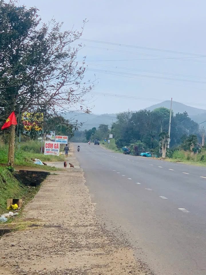 Đất mặt tiền Quốc Lộ 14, Thị Trấn Phú Hoà, 335m² giá 899 triệu - Cơ hội đầu tư tuyệt vời!