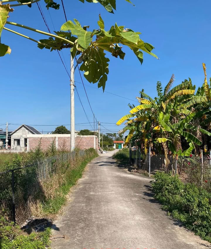 Đất thổ cư Thôn 11 Hải Xuân 120m² giá 800 triệu - Tiềm năng tăng giá mạnh!