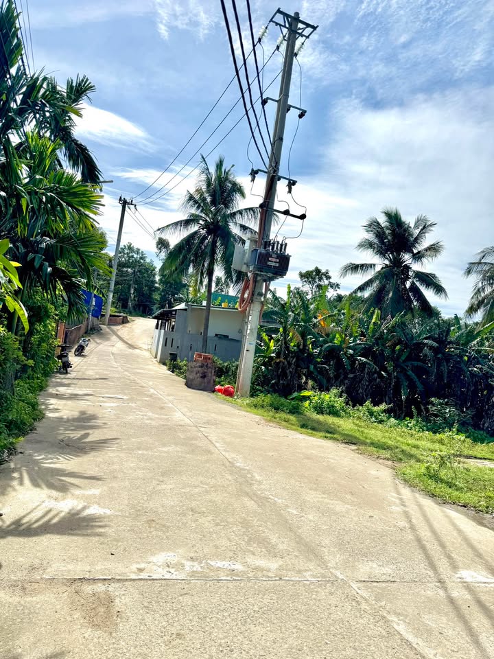 Đất nền thôn Phú Thượng, Hòa Sơn, 100m² giá chỉ 1.3 tỷ - Lô góc đẹp, vị trí thuận lợi!