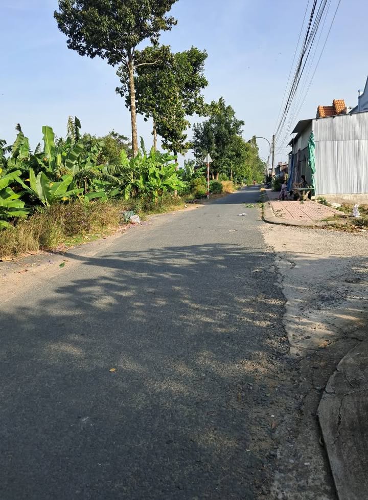 Đất nền xã Thanh Bình 1000m² giá 500 triệu - Vị trí đẹp, giao thông thuận lợi!