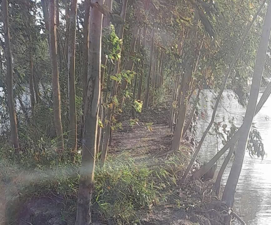 Đất nông nghiệp 20.000m² tại Bình Thành, Đồng Tháp - Mặt tiền kênh lớn, giá chỉ 145 triệu!