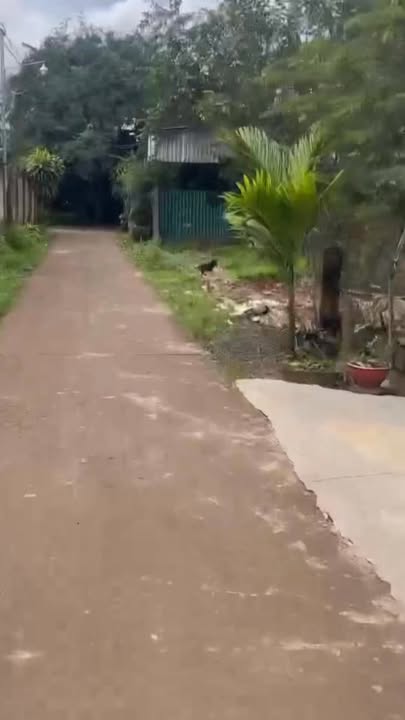 Đất thổ cư xã Ea Kuăng, Krông Pắc 140m² giá 800 triệu - Chính chủ bán gấp!