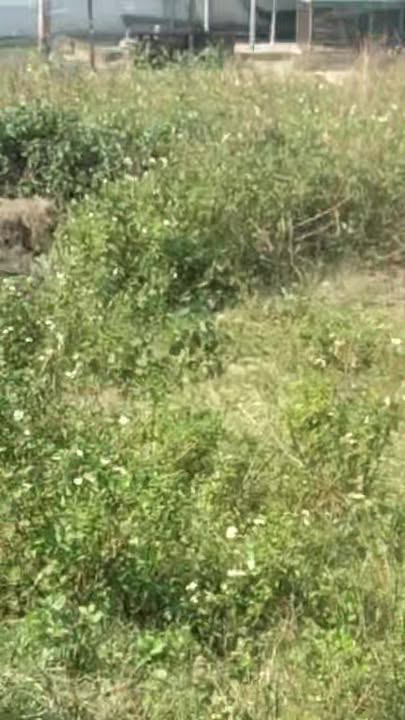 Đất nền Kỳ Tân, Kỳ Anh 391m² - Đầu tư siêu lợi nhuận ngay hôm nay!