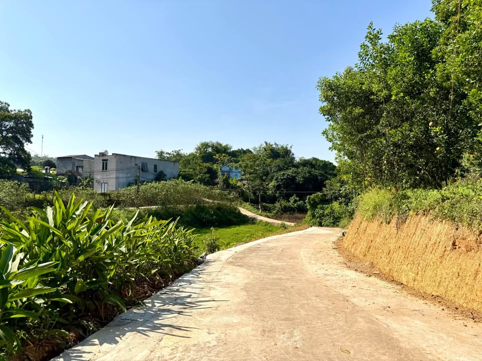 Đất nền Nông Tiến, Tuyên Quang 93m² giá 700 triệu - Ô tô đỗ cửa, pháp lý rõ ràng!