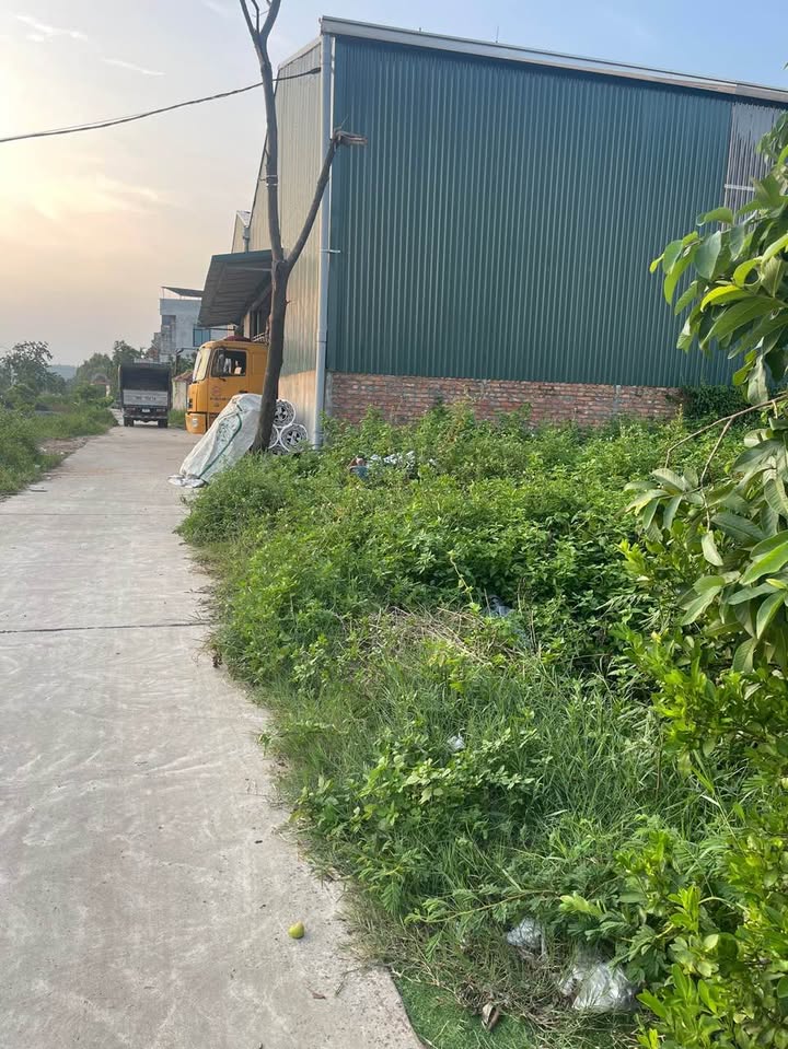 Đất nền Yên Giả Quế Võ 197m² giá 6.42 tỷ - Vị trí đắc địa gần KCN