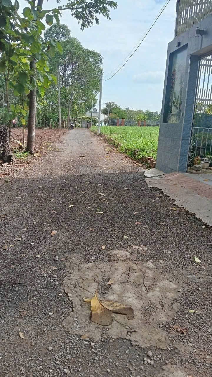 Đất thổ cư Hưng Lộc, Thống Nhất 130m² giá 700 triệu - Cơ hội đầu tư tuyệt vời!