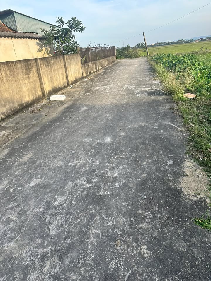 Đất Thạch Xuân 220m² chỉ 1 tỷ - Cơ hội đầu tư hấp dẫn!