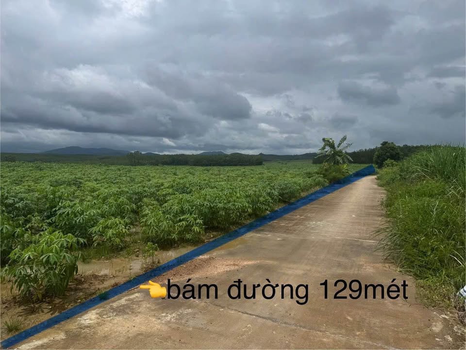 Đất nông nghiệp 5 sào1 tại xã Đoàn Kết, Kon Tum - Pháp lý rõ ràng, giá thỏa thuận!