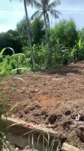 Đất nền Phổ Phong Đức Phổ 287m² giá thỏa thuận - Đầu tư sinh lời ngay!