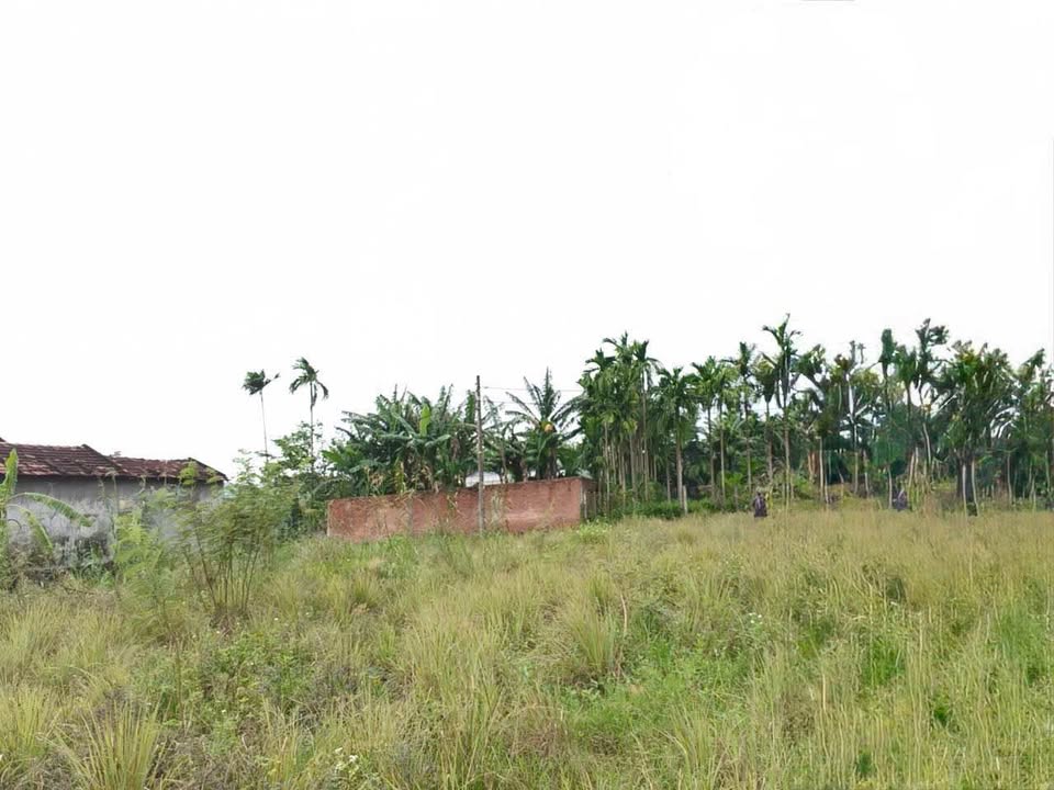 Đất thổ cư Nghĩa Dõng 140m² giá 650 triệu - Hẻm ô tô thông thoáng!