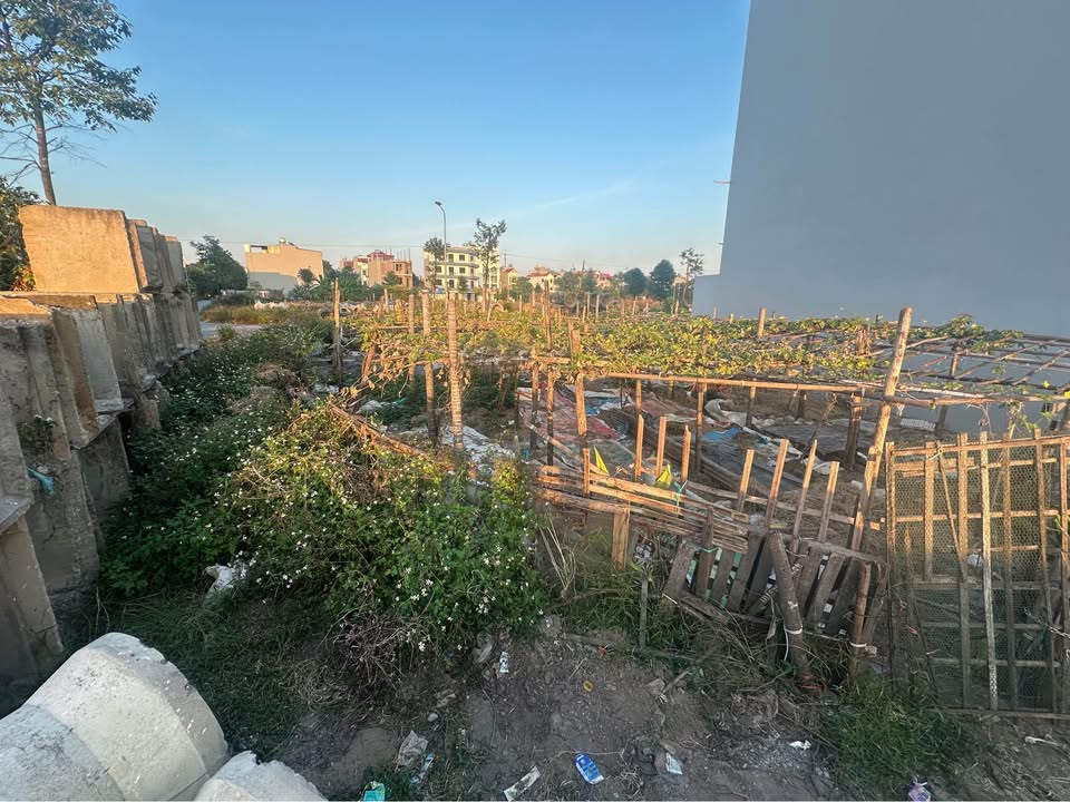 Đất giãn dân Vạn An 134m² giá 8 tỷ - Lô góc 2 mặt tiền!