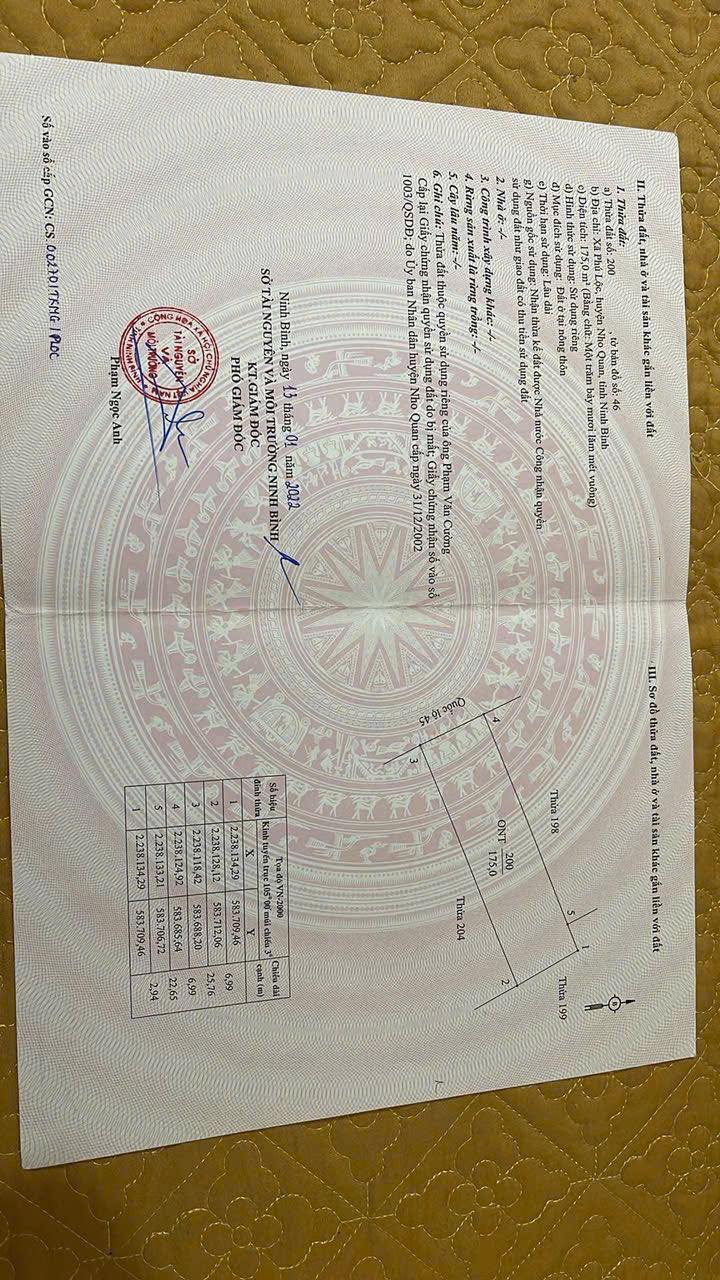 Đất nền thôn Đồi Chè, xã Quỳnh Lưu, 174m² giá thỏa thuận - Cơ hội đầu tư lý tưởng!