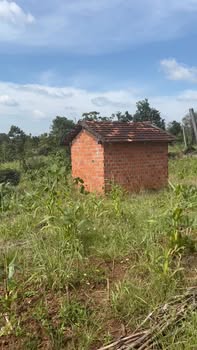 Đất nông nghiệp 10000m² thôn 5 Ea Khal Đắk Lắk giá 850 triệu - Sổ hồng đầy đủ!