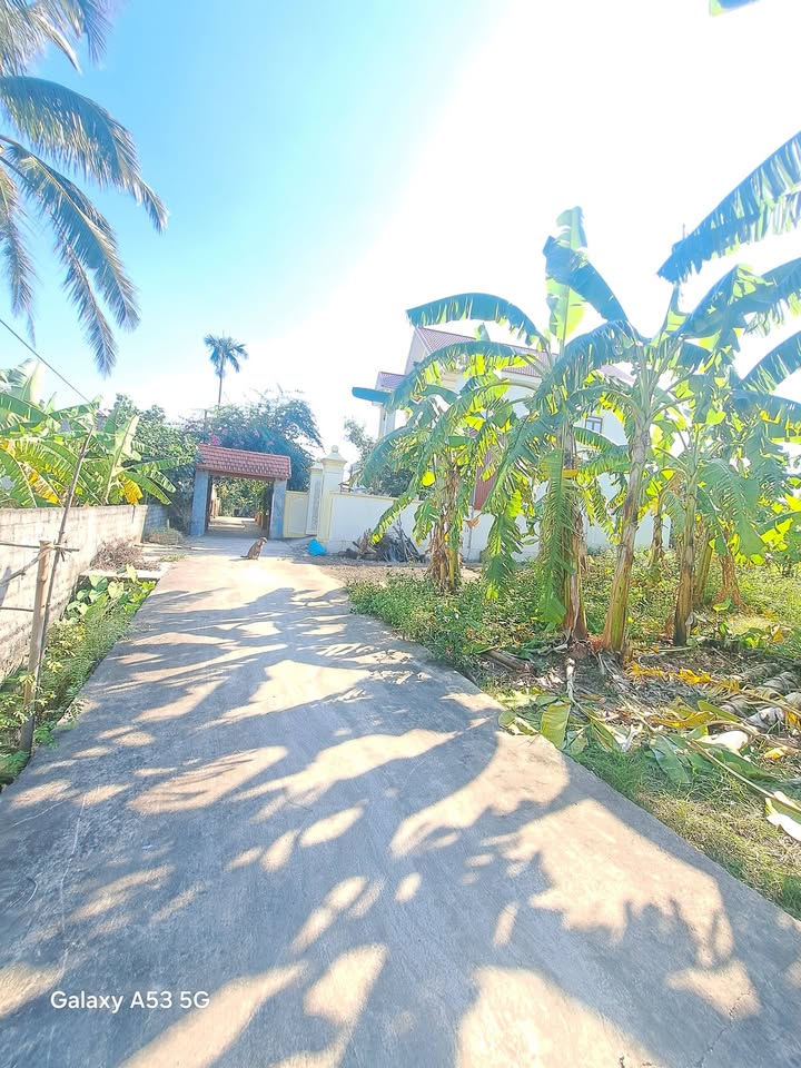 Đất An Định An Thanh 162m² giá 500 triệu - Cơ hội đầu tư tuyệt vời!