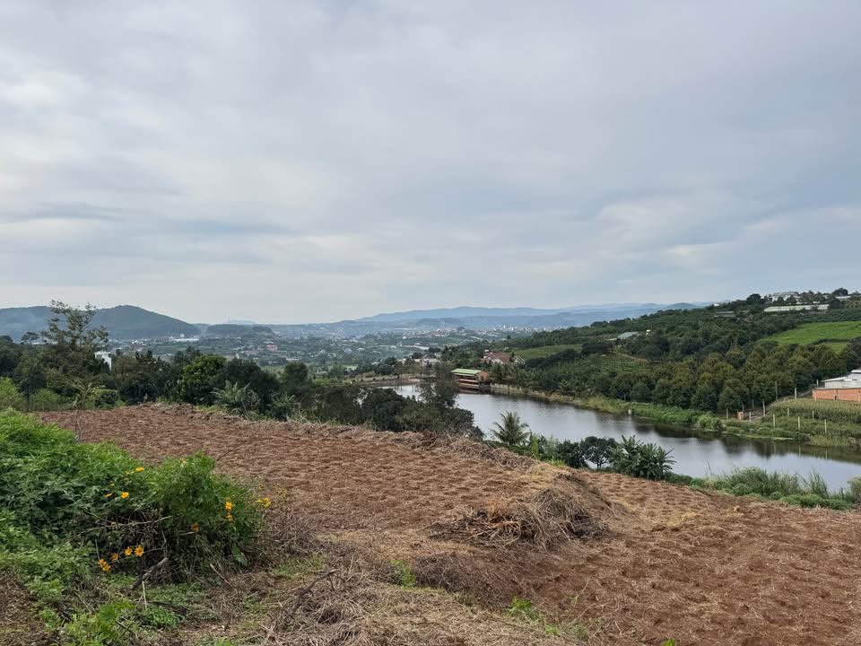 Đất nền tại xã Nam Ban, Lâm Hà từ 1000m² giá chỉ 1,5 triệu/m² - Cơ hội đầu tư hấp dẫn!