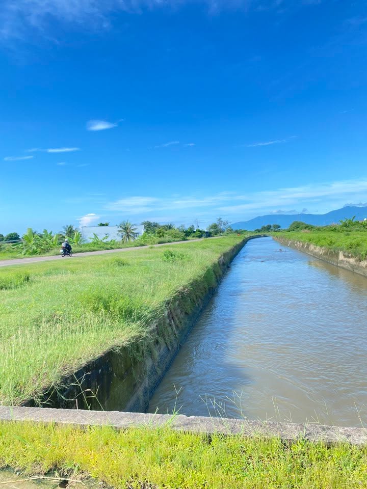 Đất nền 4xào4 tại xã Thuận Hòa, Hàm Thuận Bắc - Giá chỉ 90 triệu/xào, đầu tư sinh lời!