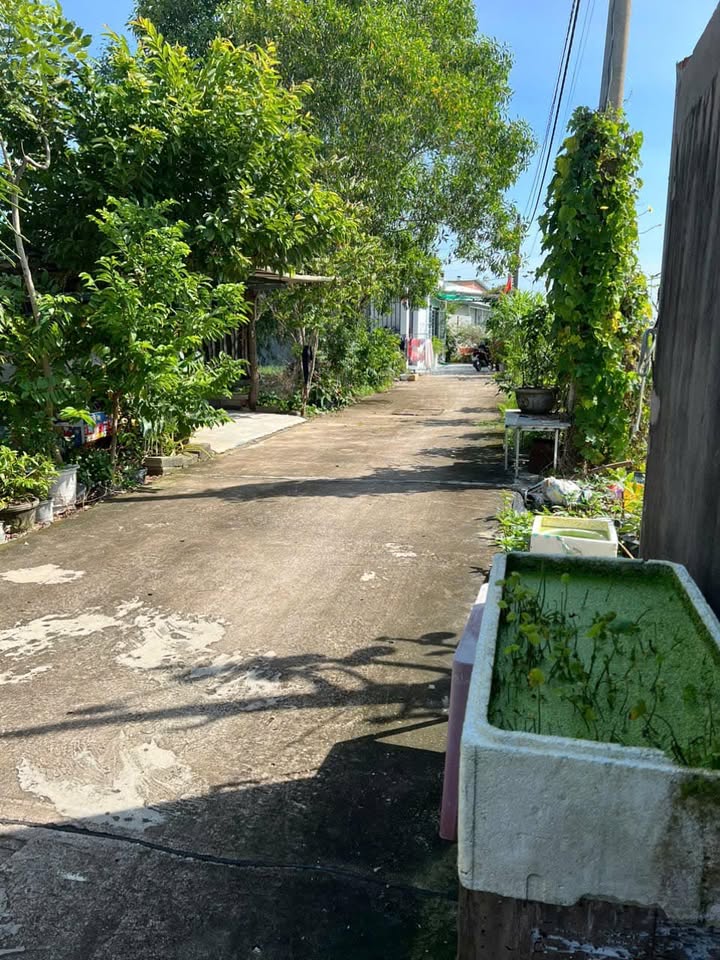 Đất thổ cư 100m² tại đường Cây Me, Phan Thiết giá 700 triệu - Sổ đỏ chính chủ!