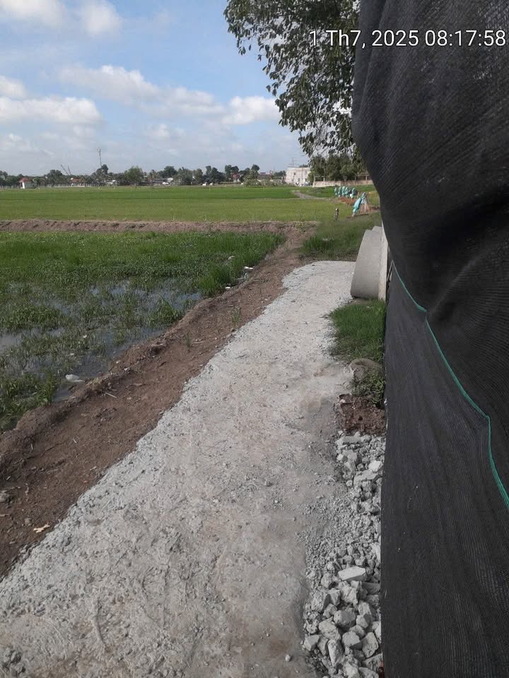 Đất nông nghiệp 881m² xã Tân Nhựt, Bình Chánh - Giá chỉ 1.58 tỷ!