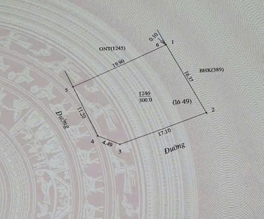 Đất nền tái định cư Trường Vinh Nghi Lộc 300m² - Lô góc đẹp giá thỏa thuận!