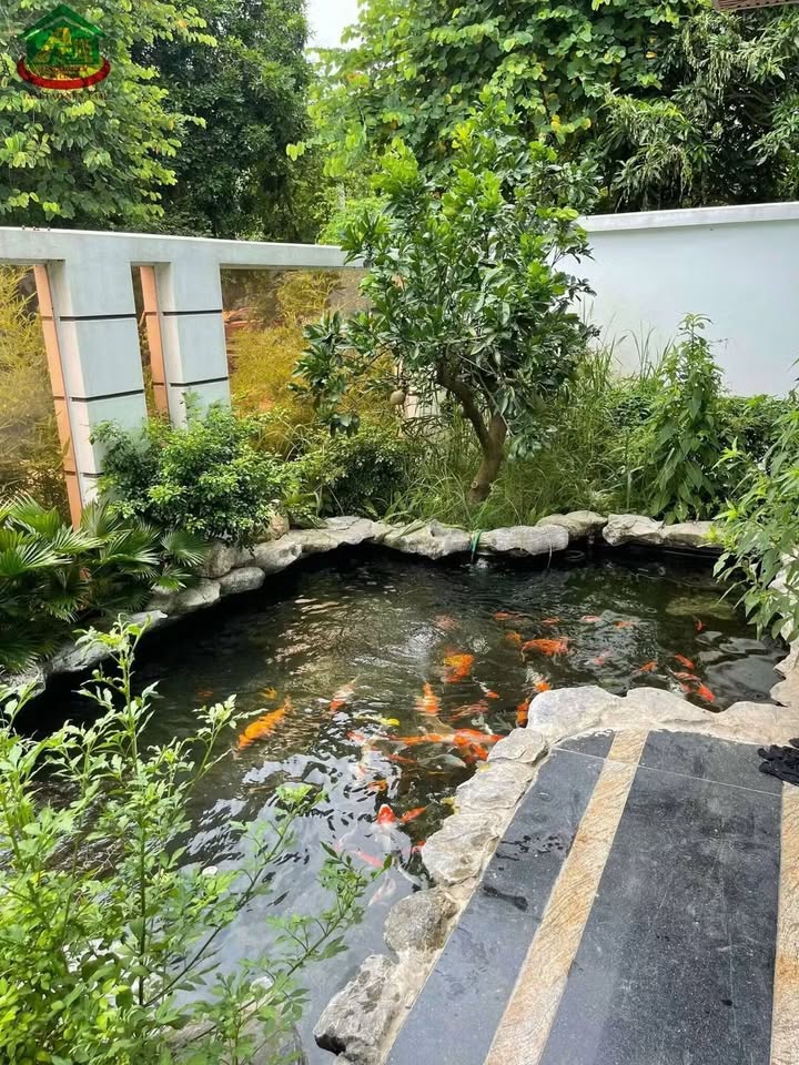 Biệt thự Núi Soi - Ninh Mỹ 341m² giá 12.5 tỷ - Sẵn sàng giao dịch!