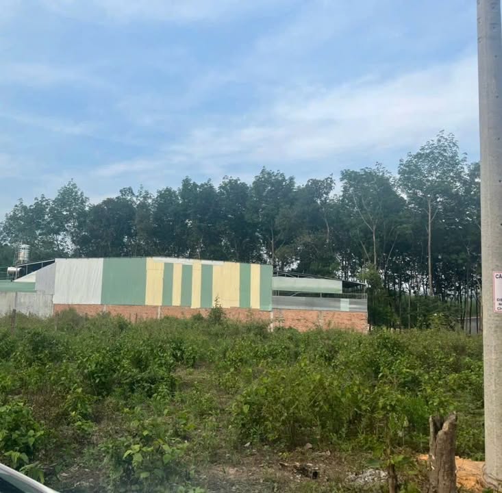 Đất thổ cư 300m² thôn Konhring, xã Đăk Bla, giá 700 triệu - Sổ hồng chính chủ!