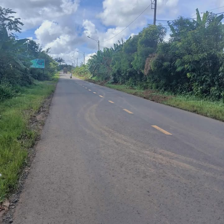 Đất 5 Sào Cư Êbur, Buôn Ma Thuột 2.5 tỷ - Đường bê tông, gần trung tâm!