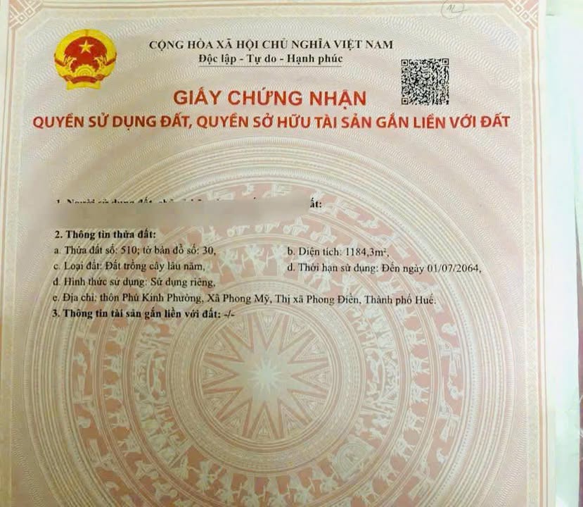 Đất trồng cây lâu năm Phong Điền, Huế 1184m² - Giá tốt, sổ đỏ chính chủ!