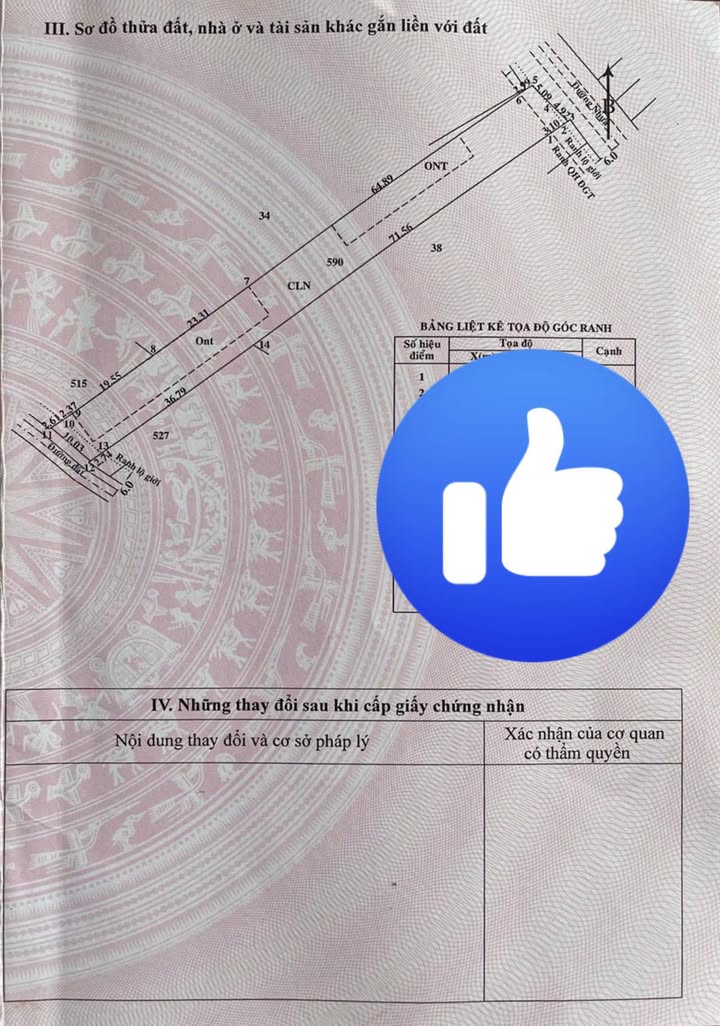 Đất nền Nhuận Đức, Củ Chi 1100m² giá 4.8 tỷ - Mặt tiền 2 hướng, đầu tư sinh lời!