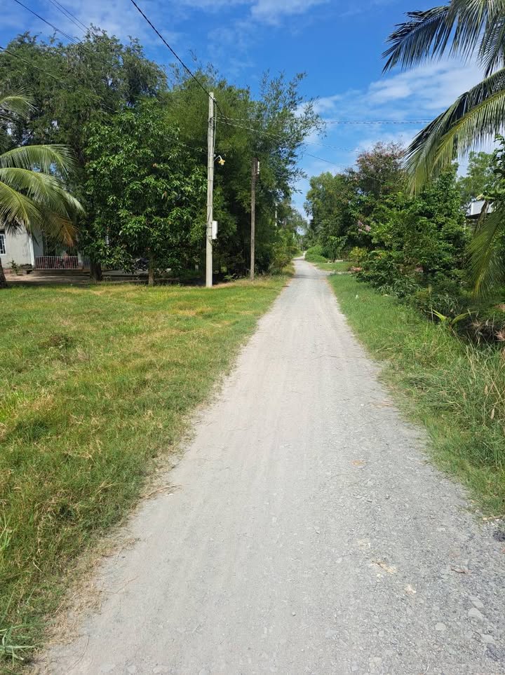 Đất thổ cư 135m² Bình Hòa Bắc, Đức Huệ - Giá chỉ 395 triệu, cần bán gấp!