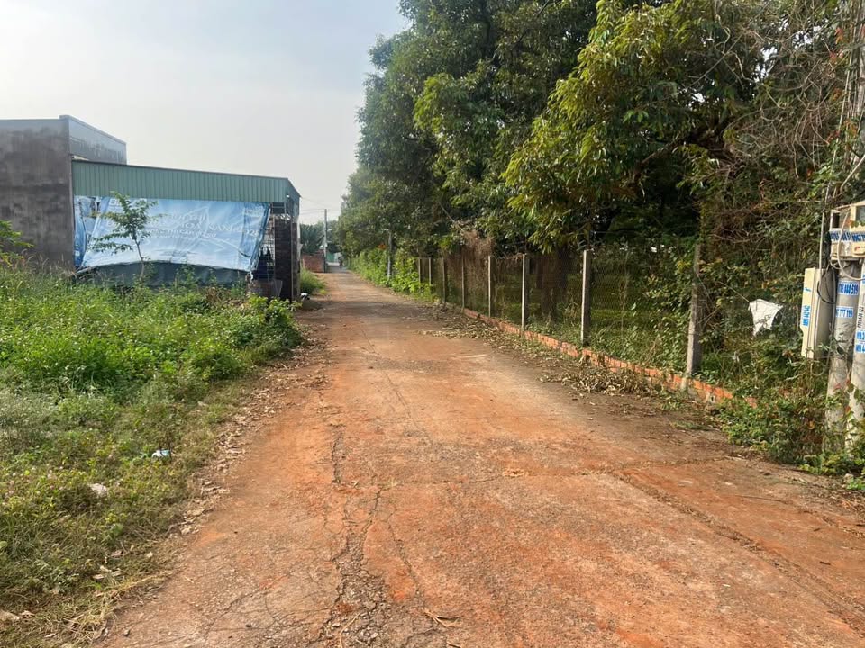 Đất thổ cư đường 53, phường Tam Long, Bà Rịa 144m² - Chính chủ bán gấp!