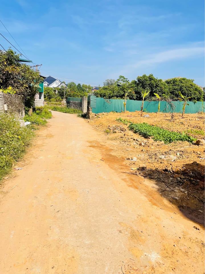 Đất thổ cư Lục Nam Bắc Giang 197m² giá 1 tỷ - Mặt tiền 8m, tiện ích đầy đủ!