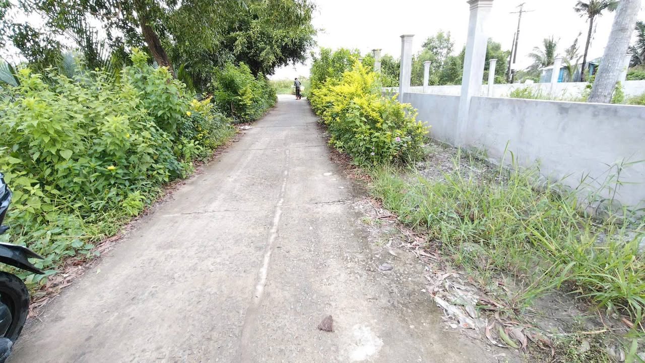 Đất vườn đẹp tại phường Hòa Thành, Cà Mau 1238m² giá chỉ 1,4 tỷ - Đầu tư sinh lời cao!