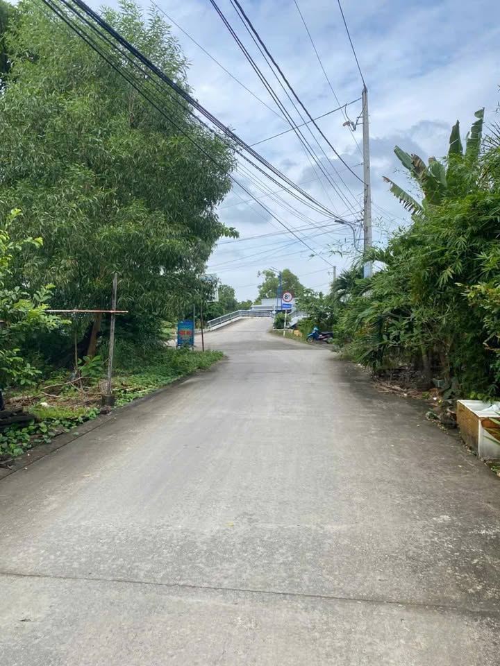 Đất nền đường Trương Phùng Xuân, phường Lý Văn Lâm, Cà Mau 99m² - Vị trí đẹp, giá thương lượng!