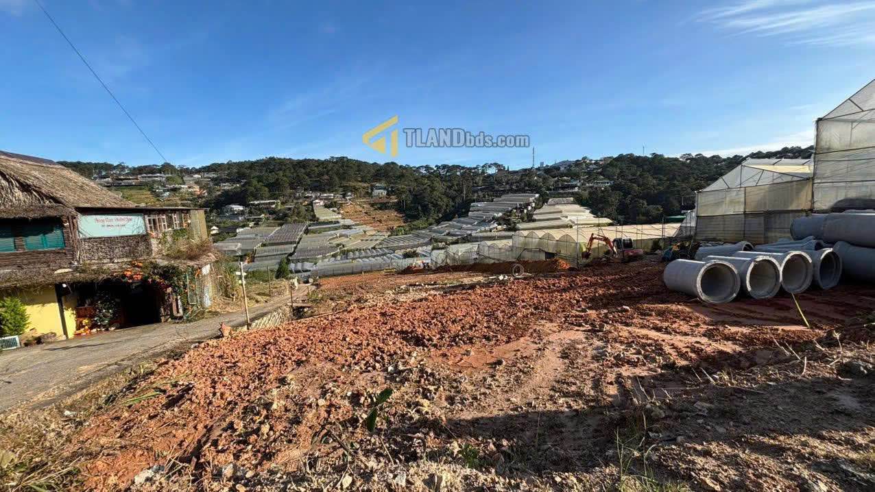 Đất hẻm ô tô lớn Trịnh Hoài Đức, Đà Lạt 280m² - Sổ đỏ chính chủ, giá 8.5 tỷ!