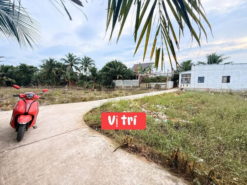 Đất nền Ninh Hiệp 125m² giá 999 triệu - Đầu tư sinh lời ngay!