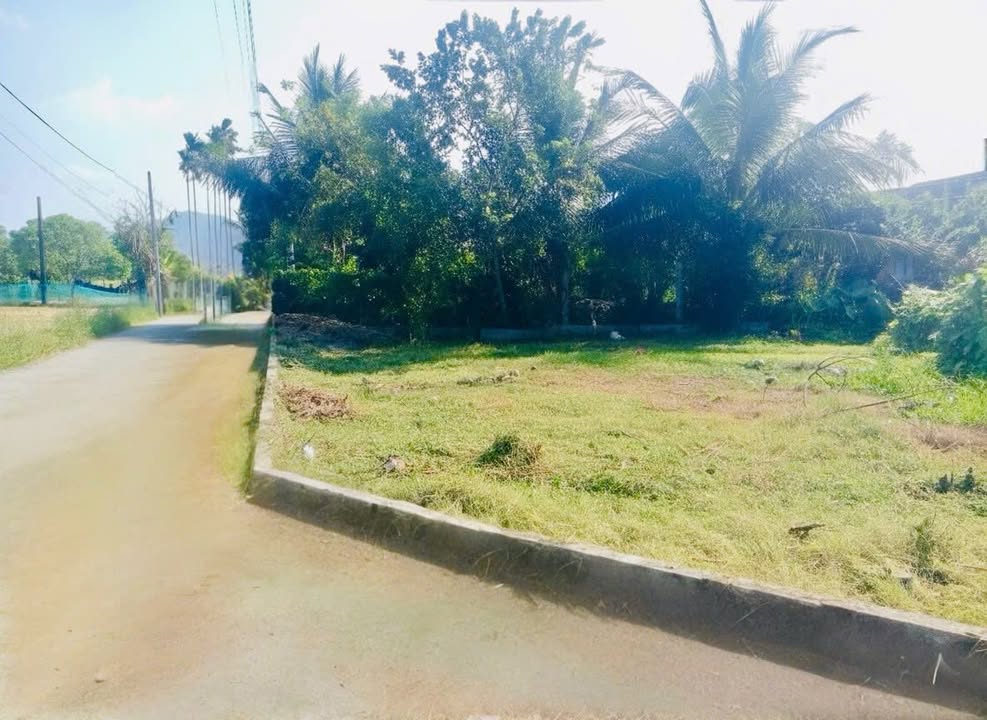 Đất mặt tiền Diên Hòa, Diên Khánh 157m² giá 1.295 tỷ - Đầu tư sinh lời ngay!