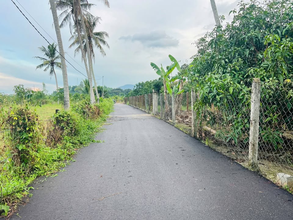 Đất nền Suối Dầu 204m² giá 900 triệu - Mặt tiền đường nhựa, view đồng thoáng mát!